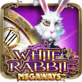 White Rabbit