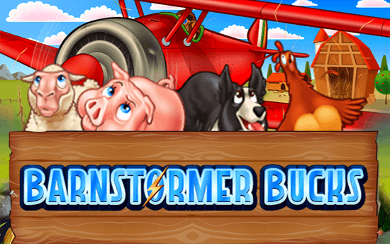 Barnstormer Bucks