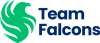 Team Falcons