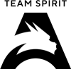 Team Spirit Academy