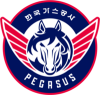 Daegu KOGAS Pegasus