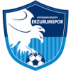 Buyuksehir Belediye Erzurumspor