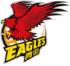 Qingdao Eagles Qingdao Eagles
