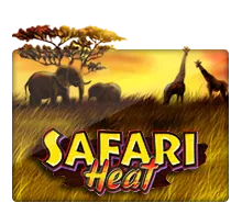 Safari Heat