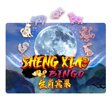 Sheng Xiao Bingo