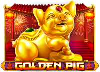 Golden Pig