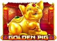 Golden Pig