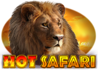 Hot Safari