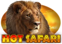 Hot Safari